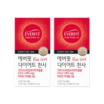 내츄럴플러스 에버핏 다이어트 천사 다이어트식품 123.2g, 2개, 112정