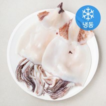오징어 (냉동), 500g, 1개