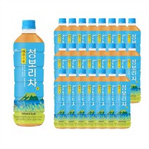 쟈뎅 제주의 봄 청보리차, 500ml, 24개