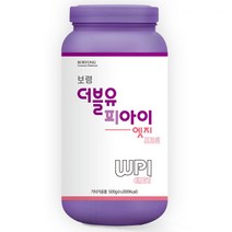 보령 WPI 엣지 프로틴, 1개, 500g