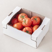 토마토먹는법 최저가 검색결과