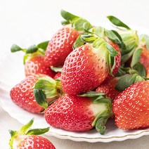 산지직송 부성 설향 딸기, 2팩, 500g