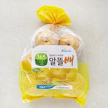 남도장터 삼계농협 365생 Sweet Ugly 알뜰배, 3kg(5~7입), 1개