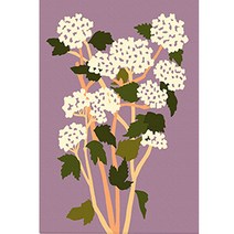 아트조이 DIY 명화그리기 10 x 15 cm, 플라워 B