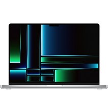 Apple 2023 맥북 프로 14, 실버, M2 Pro 10코어, 16코어, 1TB, 32GB, Z17K0005W, 한글