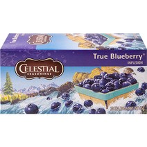 셀레셜시즈닝스 트루 블루베리 침출차 20p, 1개, 45g, 1개