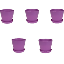 나비다 파스텔 화분 5p, 퍼플