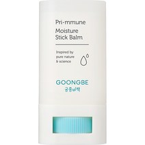 궁중비책 프리뮨 모이스처 스틱 16g, 1개, 밤