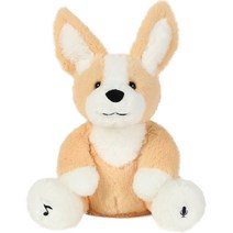 말랑하니 노래하고 기억하는 까꿍 애착 동물 인형 코기 강아지, 31cm, 혼합색상