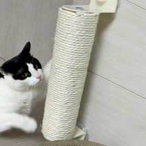 PETMORNING 고양이 큐방 창문 벽 기둥 스크래쳐 35cm, 화이트, 1개