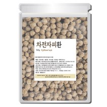 천지가약초 차전자피 환, 500g, 1개