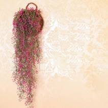 버드나무 에어플랜트 벽 장식 덩굴 식물 로즈레드 황금종 L, 1개