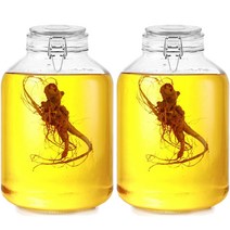 차이나다 다용도 밀폐 유리병, 5000ml, 2개