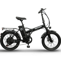 레이윙 디스커버리 엔트리 F20 E10 36V 10.4Ah 접이식 전기자전거 고객직접설치, 스틸, 블랙