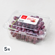 만나다 미국산 씨없는 적포도, 450g, 5개