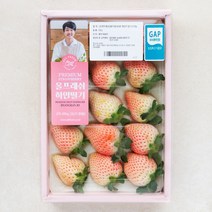 프리미엄핑크딸기 구매하고 무료배송