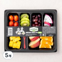All바른농장 새콤달콤 과일도시락 One, 5개, 500g