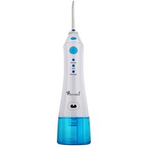 덴탈픽 휴대용 구강세정기 화이트 + 블루, DP-1300K