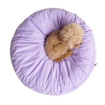 퍼피엔젤 쏘오옥 쿠션 쿨링 메모리 커버 PA-BV189, 520 PP