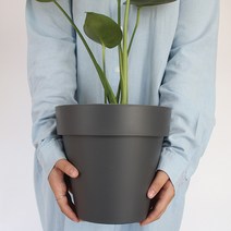 모리앤 베이직 원형 저면관수 화분, 다크그레이