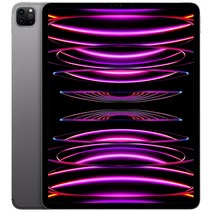 Apple 정품 2022 아이패드 프로 12.9 6세대 M2칩, 스페이스그레이, 2TB, Wi-Fi+Cellular