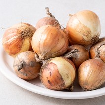국내산 친환경 양파, 1.5kg, 1봉