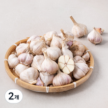 서산 육쪽마늘, 1kg, 2개