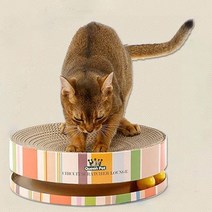 서킷 고양이 스크래쳐 라운지 + 캣닢, 혼합 색상, 1세트