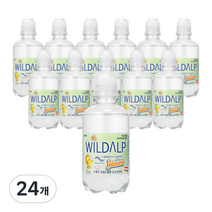 와일드알프 주니어워터, 250ml, 24개