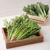 국내산 얼갈이 + 열무, 1개