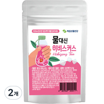 해밀생활건강 물대신 히비스커스티, 0.7g, 20개입, 2개