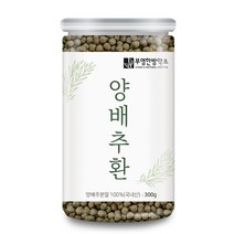 부영한방약초 양배추환, 1개, 300g