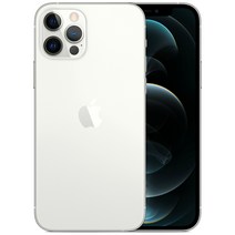 Apple 아이폰 12 Pro 자급제, 실버, 128GB