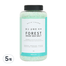 바스참 사해소금 포레스트 용기형, 1kg, 5개