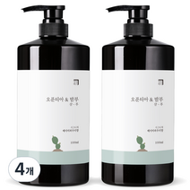 살림백서 오푼티아&밤부 샴푸 베이비파우더향, 1000ml, 4개