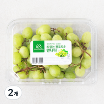 만나다 미국산 씨없는 청포도, 450g, 2개