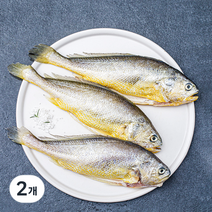 손질 부세, 450g(대,3마리), 2개