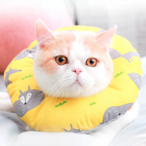 힐링타임 도넛 쿠션 넥카라 옐로우폭스 M, 옐로우폭스M