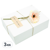 도나앤데코 블룸 직사각형 상자 대 3p + 아린 땡큐 스티커 3p + 거베라 장식꽃 3개 + 마끈 10m 세트, 상자(화이트), 꽃(살구), 3세트