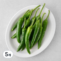 곰곰 국내산 오이맛 고추, 200g, 5개