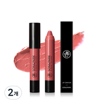 손앤박 립크레용 2.7g, 21 드라이 플라워, 2개
