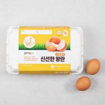곰곰 무항생제 신선한 왕란 15구, 1개