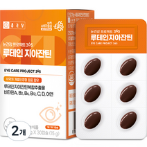 종근당 눈건강 프로젝트365 루테인 지아잔틴 15g, 2개