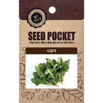 월드가드닝 행복한 텃밭 좋은 씨앗 시금치씨 2000개, 1세트