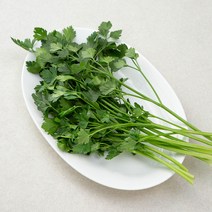 국내산 이탈리안 파슬리, 30g, 1봉
