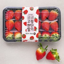 곰곰 고령 한단 딸기, 500g, 1팩