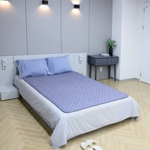 델루체 프리미엄 EMF 원적외선 탄소열선 캠핑용 전기매트 DLC-D609NK, Blue 삼각체크, 대