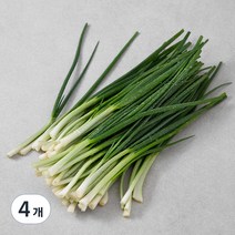 국내산 깐쪽파, 200g, 4개
