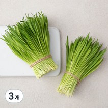 국내산 친환경 보리순, 150g, 3개