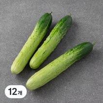 곰곰 국내산 백오이, 3입, 4개